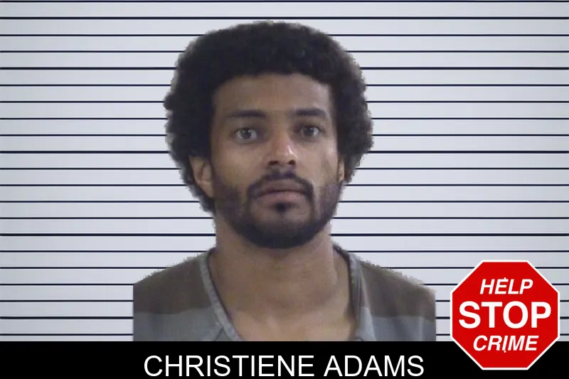Christiene Adams mugshot