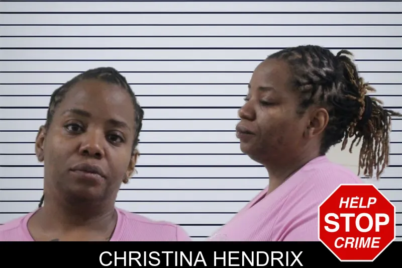 Christina Hendrix mugshot