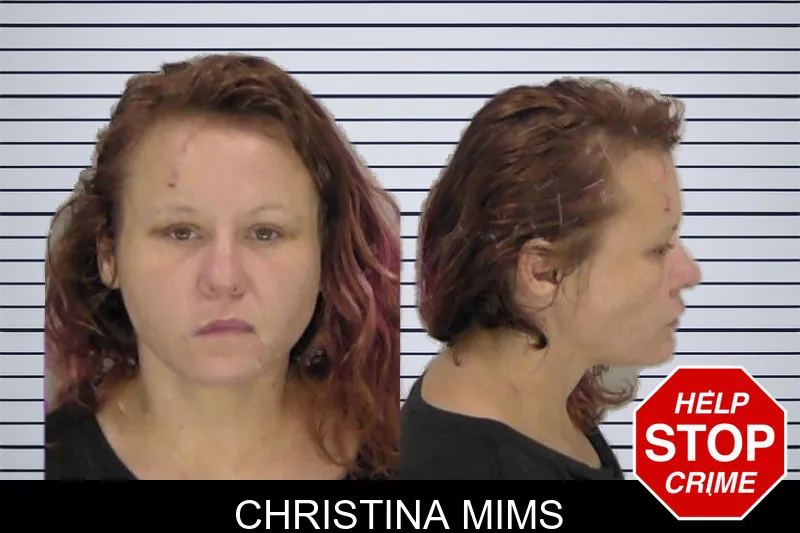 Christina Mims mugshot