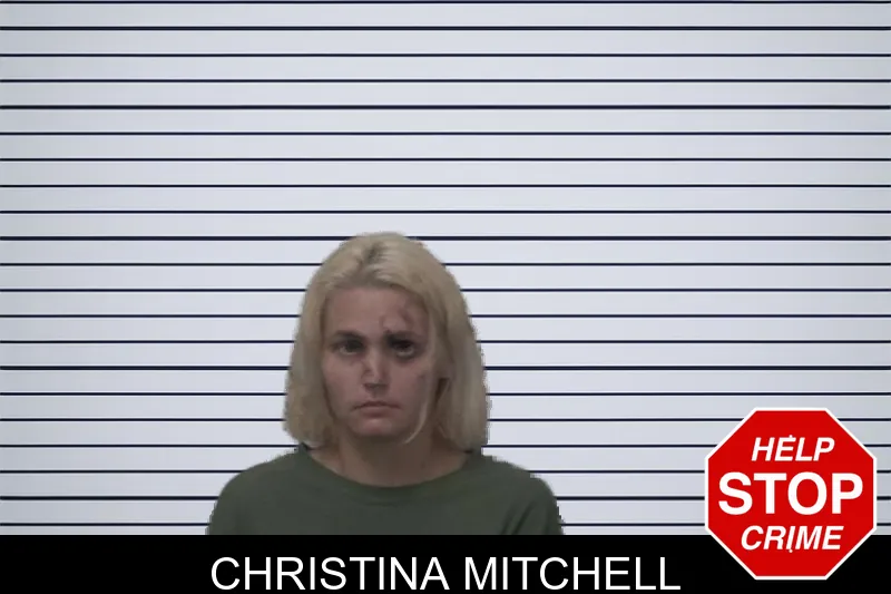 Christina Mitchell mugshot