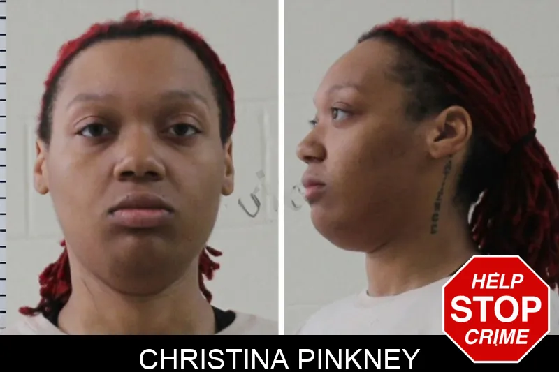 Christina Pinkney mugshot – Houston County , Georgia Christina Pinkney mugshot