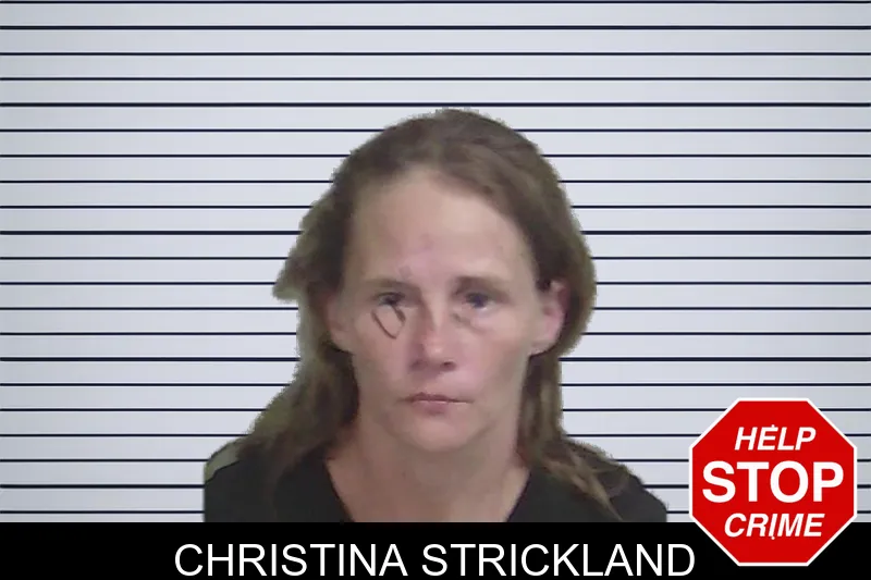 Christina Strickland mugshot