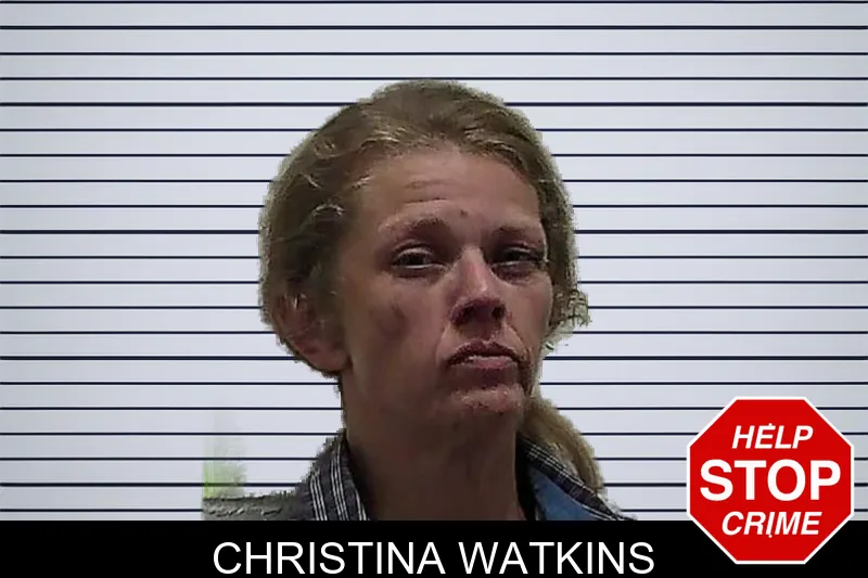Christina Watkins mugshot
