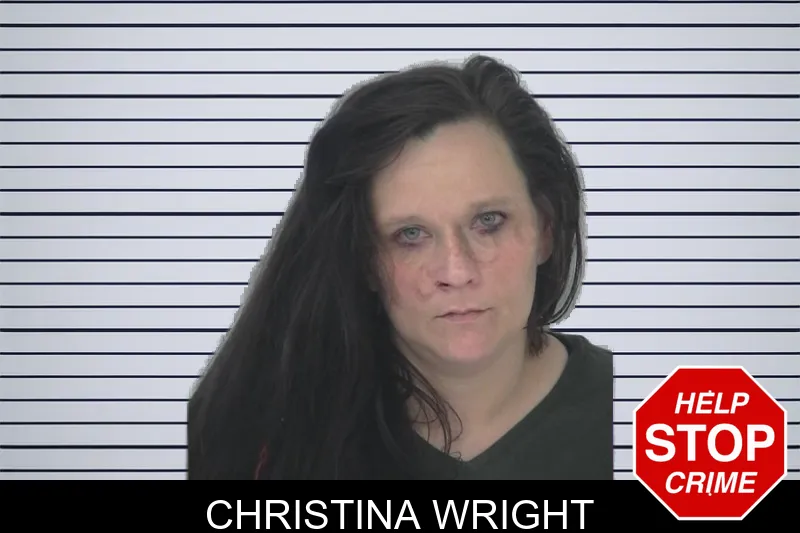 Christina Wright mugshot – Fayette County , Georgia Christina Wright mugshot
