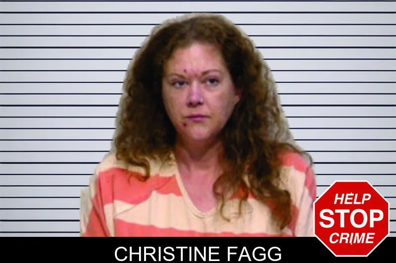 Christine Fagg mugshot