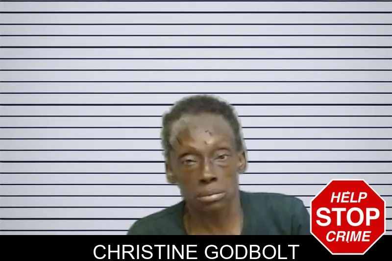 Christine Godbolt mugshot