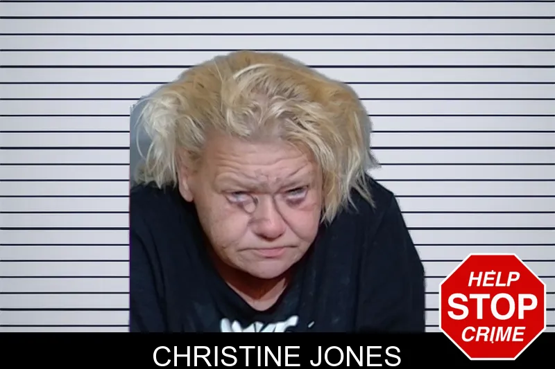 Christine Jones mugshot – Glynn County , Georgia Christine Jones mugshot
