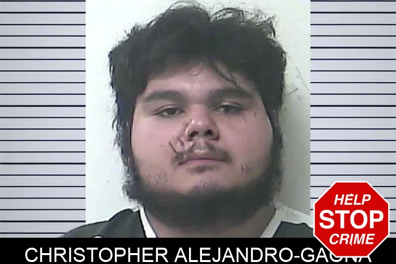 Christopher Alejandro-Gaona mugshot – Oconee County , Georgia Christopher Alejandro-Gaona mugshot