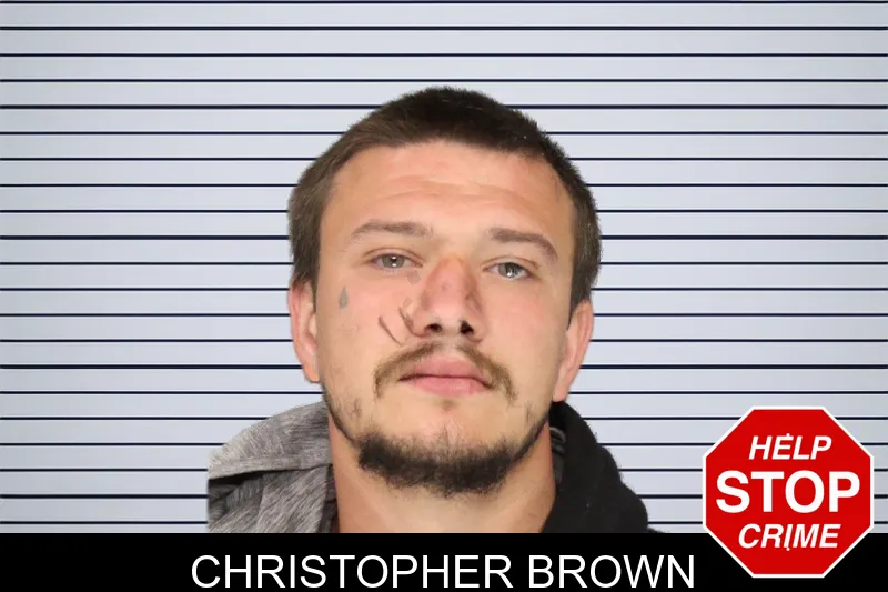Christopher Brown mugshot