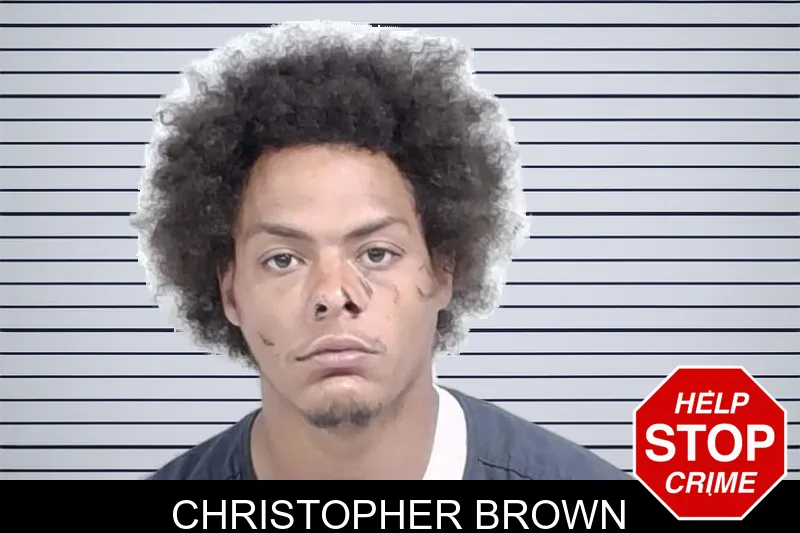 Christopher Brown mugshot