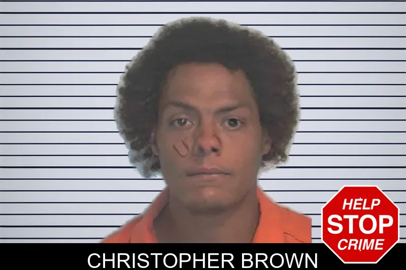 Christopher Brown mugshot