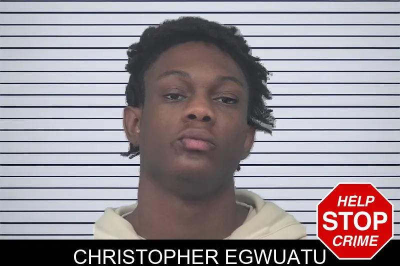 Christopher Egwuatu mugshot