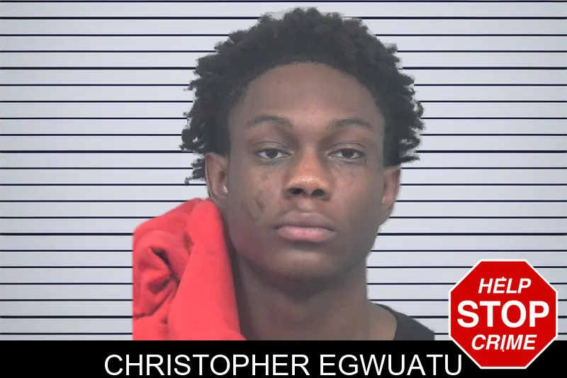 Christopher Egwuatu mugshot