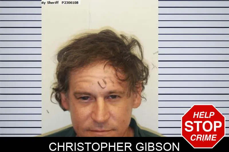 Christopher Gibson mugshot