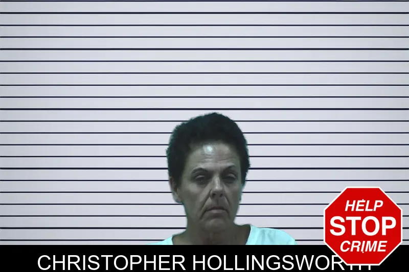 Christopher Hollingsworth mugshot