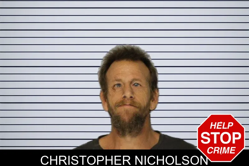 Christopher Nicholson mugshot – Hall County , Georgia Christopher Nicholson mugshot