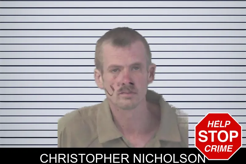 Christopher Nicholson mugshot – Newton County , Georgia Christopher Nicholson mugshot