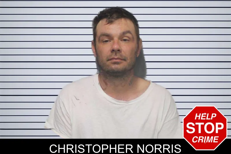 Christopher Norris mugshot
