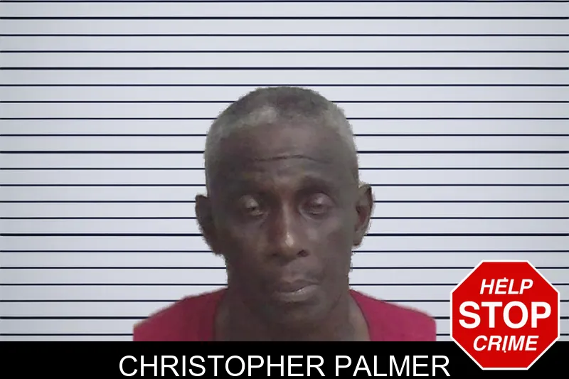 Christopher Palmer mugshot