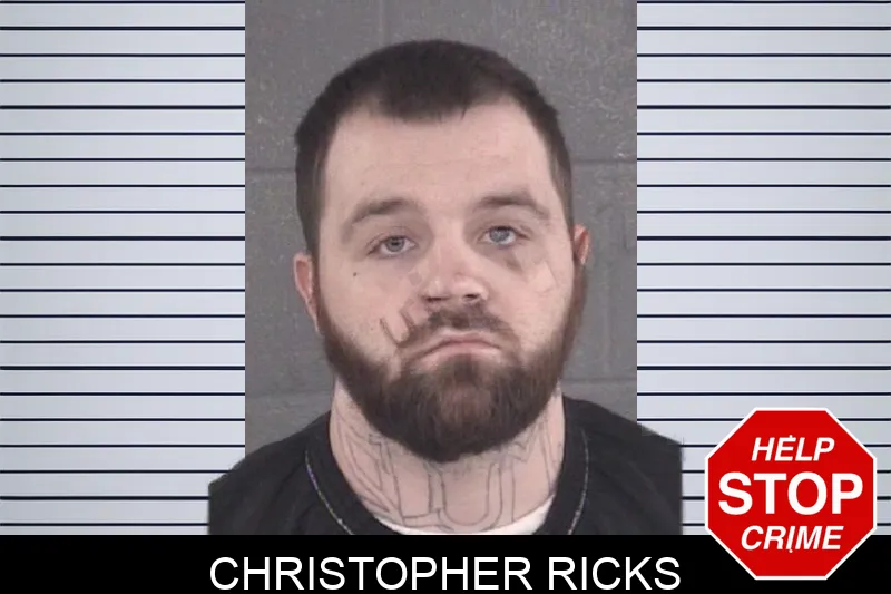 Christopher Ricks mugshot