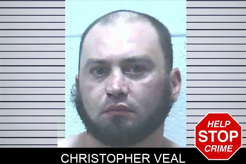 Christopher Veal mugshot