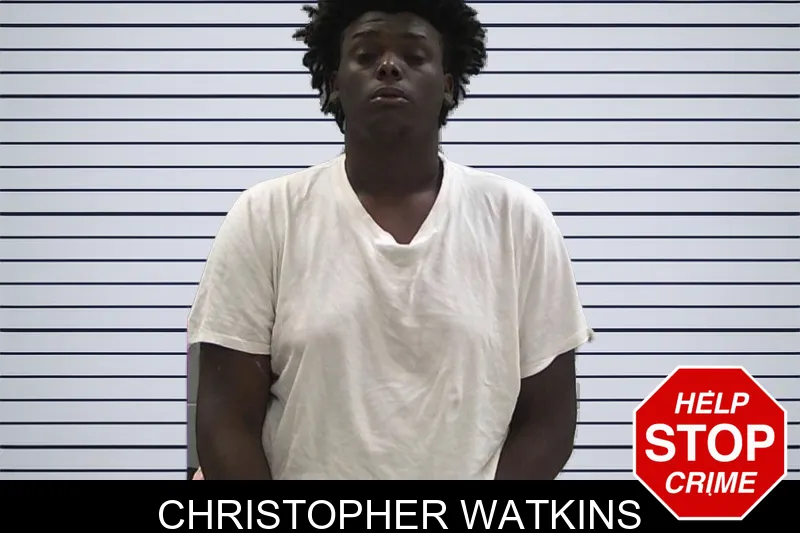 Christopher Watkins mugshot