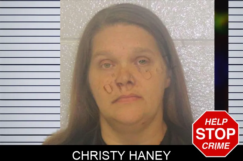 Christy Haney mugshot – Carroll County , Georgia Christy Haney mugshot