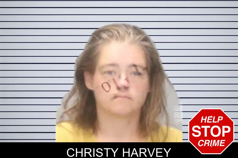 Christy Harvey mugshot