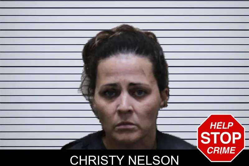 Christy Nelson mugshot