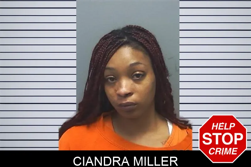 Ciandra Miller mugshot – Cherokee County , Georgia Ciandra Miller mugshot