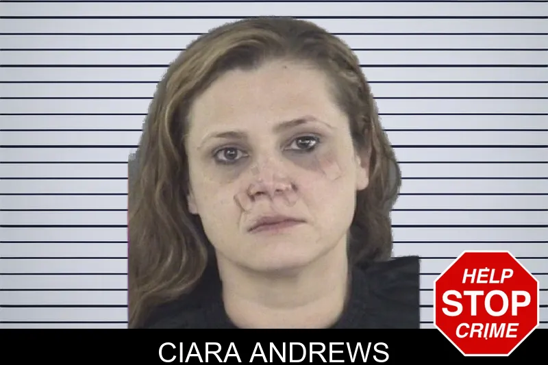 Ciara Andrews mugshot – Spalding County , Georgia Ciara Andrews mugshot