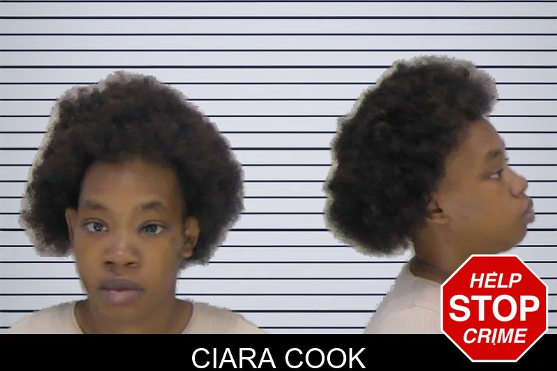 Ciara Cook mugshot