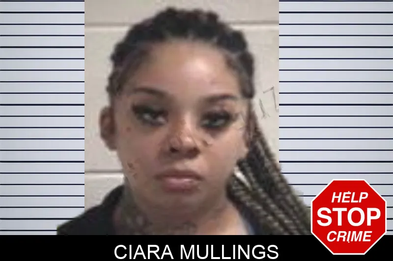 Ciara Mullings mugshot