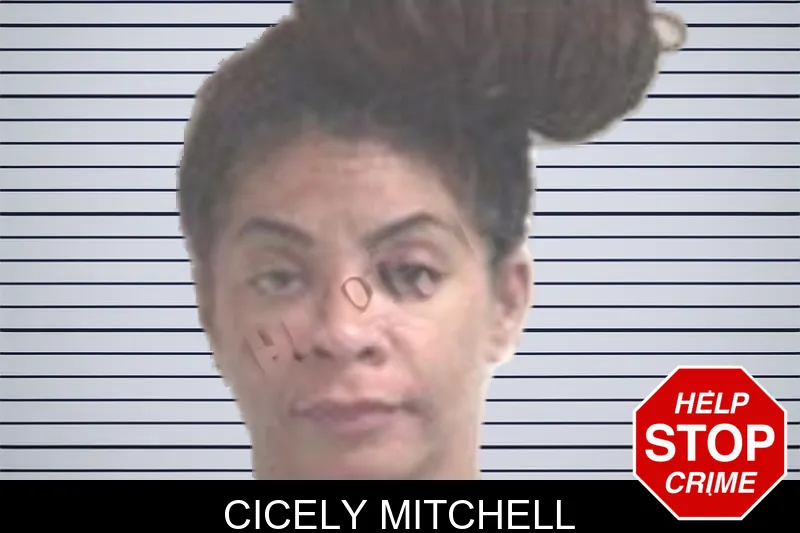 Cicely Mitchell mugshot