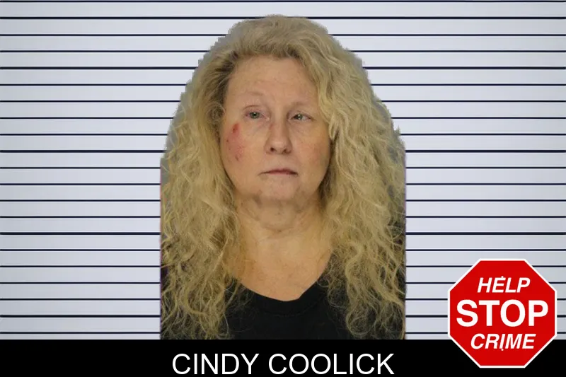Cindy Coolick mugshot