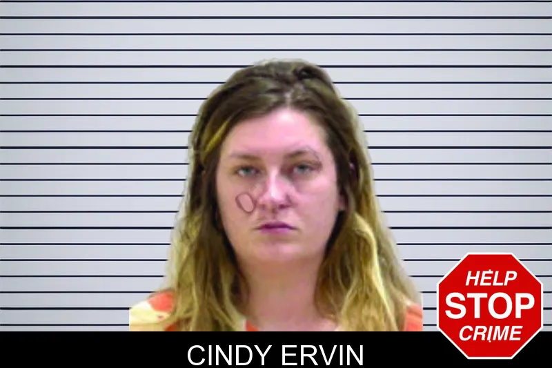 Cindy Ervin mugshot