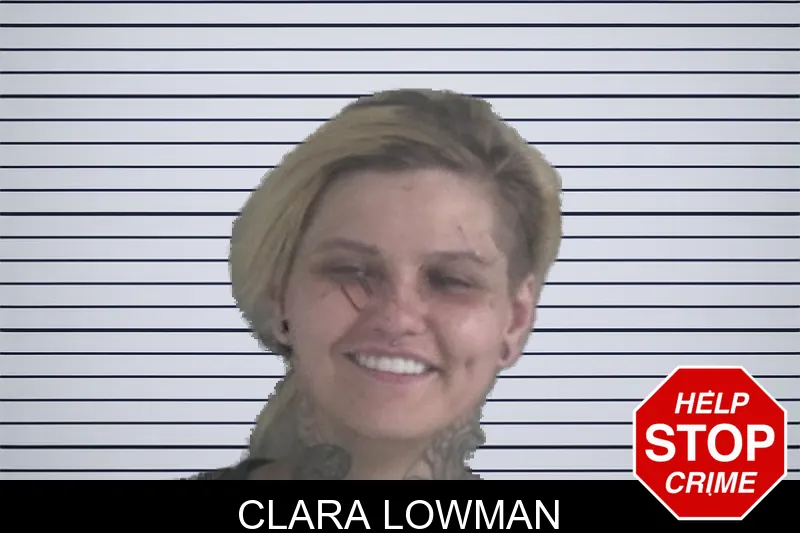 Clara Lowman mugshot – Brantley County , Georgia Clara Lowman mugshot