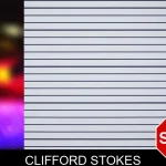 Clifford Stokes mugshot – Bacon County , Georgia Clifford Stokes mugshot