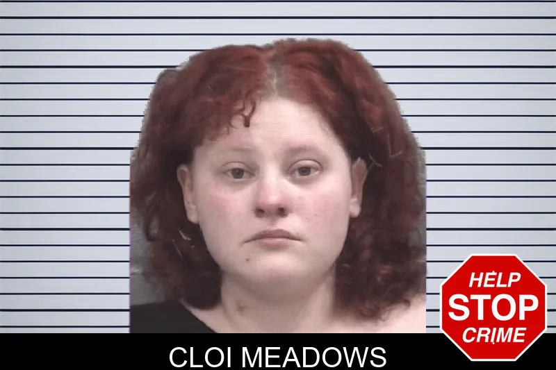 Cloi Meadows mugshot – Columbia County , Georgia Cloi Meadows mugshot