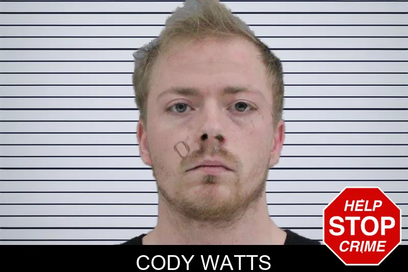 Cody Watts mugshot