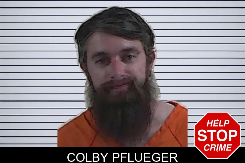 Colby Pflueger mugshot – Fannin County , Georgia Colby Pflueger mugshot