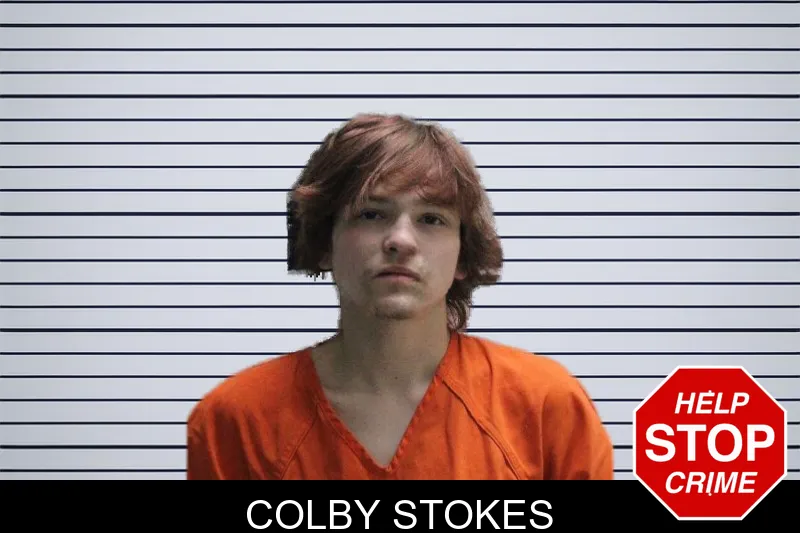 Colby Stokes mugshot – Murray County , Georgia Colby Stokes mugshot