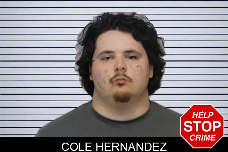Cole Hernandez mugshot