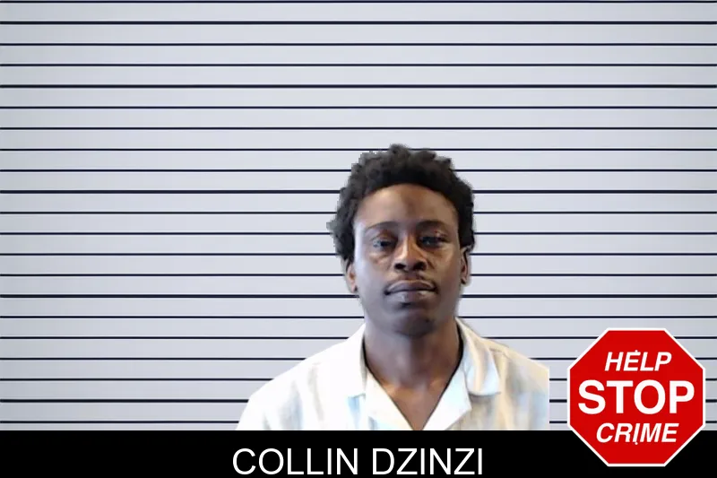 Collin Dzinzi mugshot – DeKalb County , Georgia Collin Dzinzi mugshot