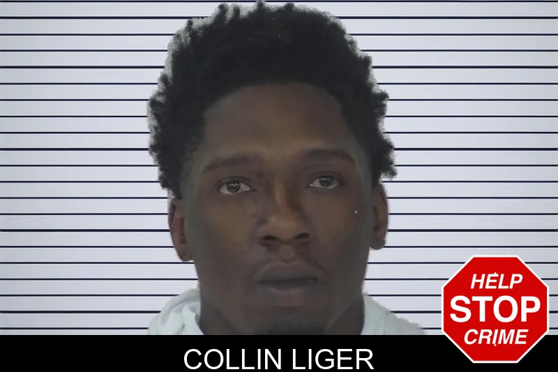 Collin Liger mugshot