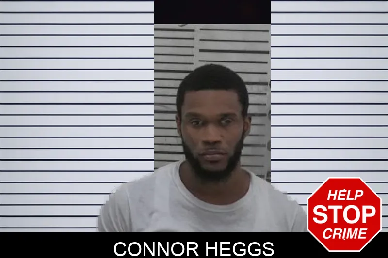 Connor Heggs mugshot