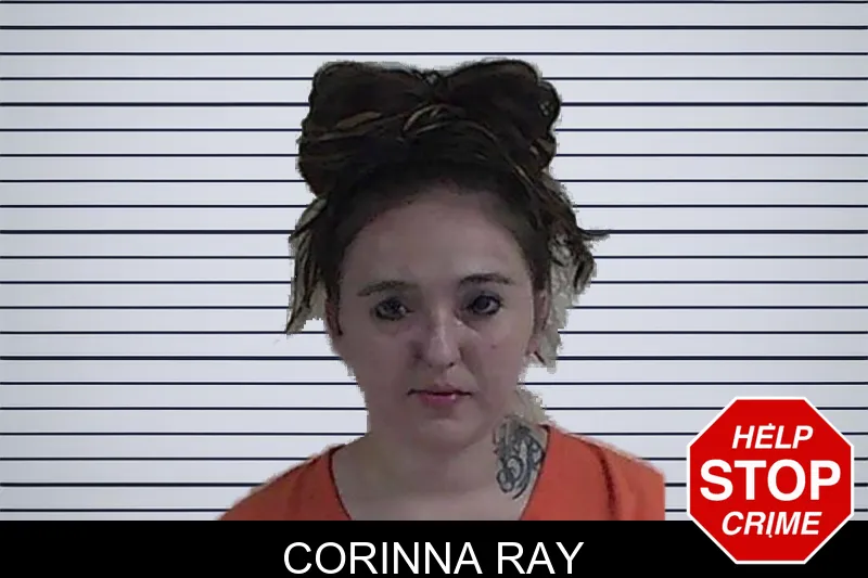 Corinna Ray mugshot