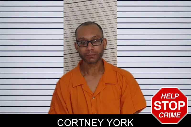 Cortney York mugshot