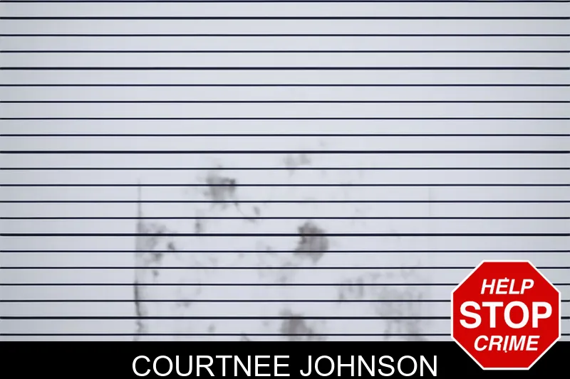 Courtnee Johnson mugshot