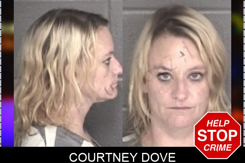 Courtney Dove mugshot